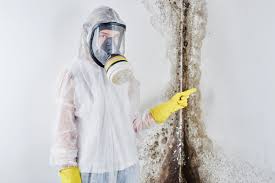 Best Basement Mold Removal in Galesville, MD